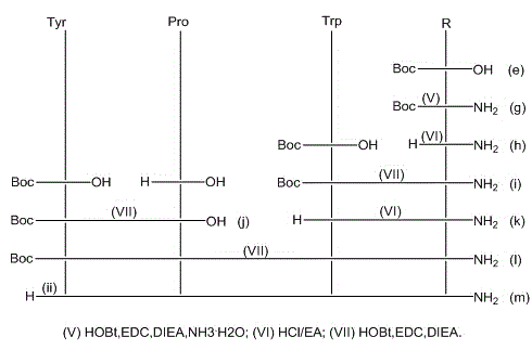 Non-natural amino acid modified endomorphin-1 analogue as well as synthesis method and application thereof