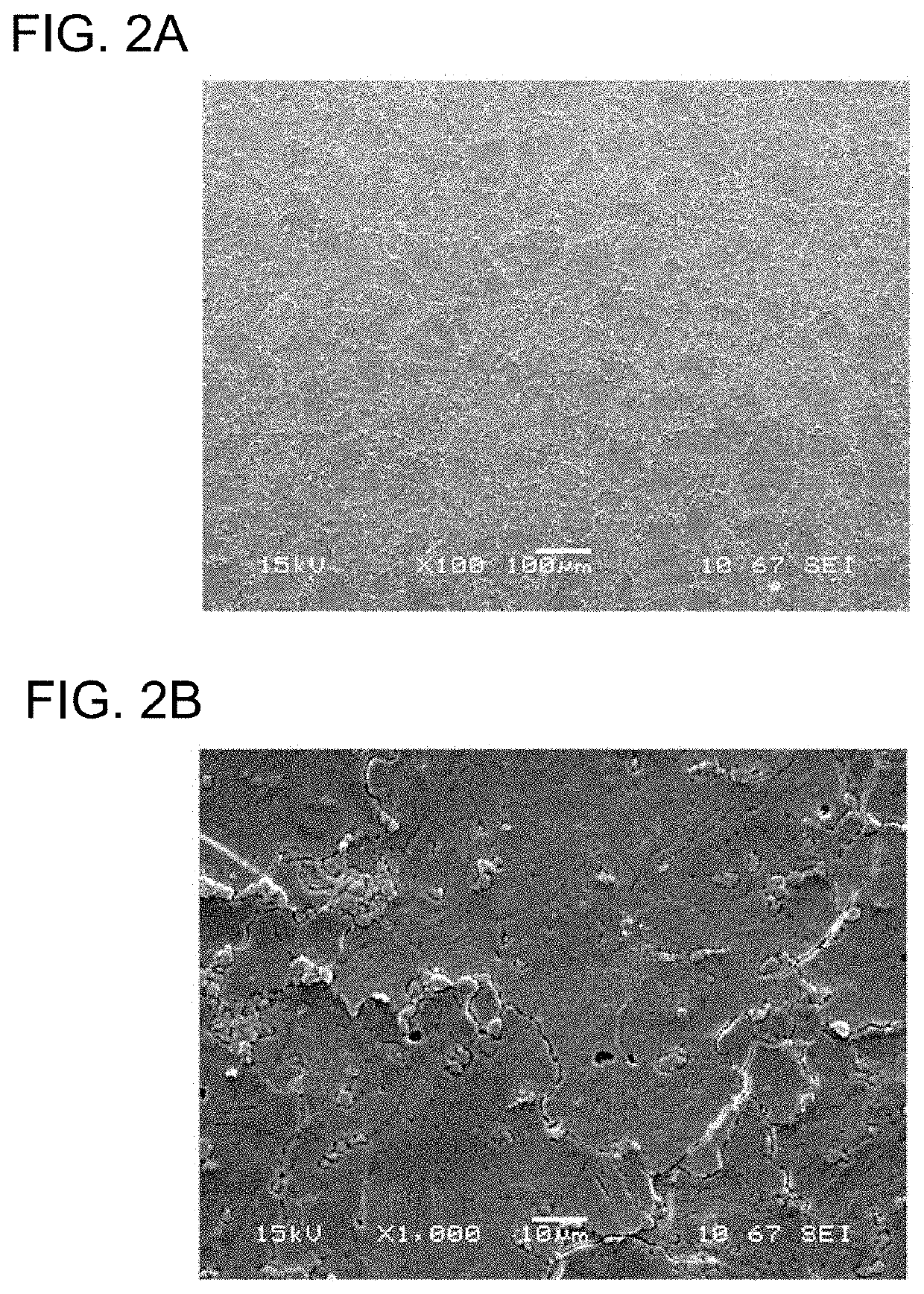 Rare Earth Oxyfluoride Sintered Body And Method For Producing Same