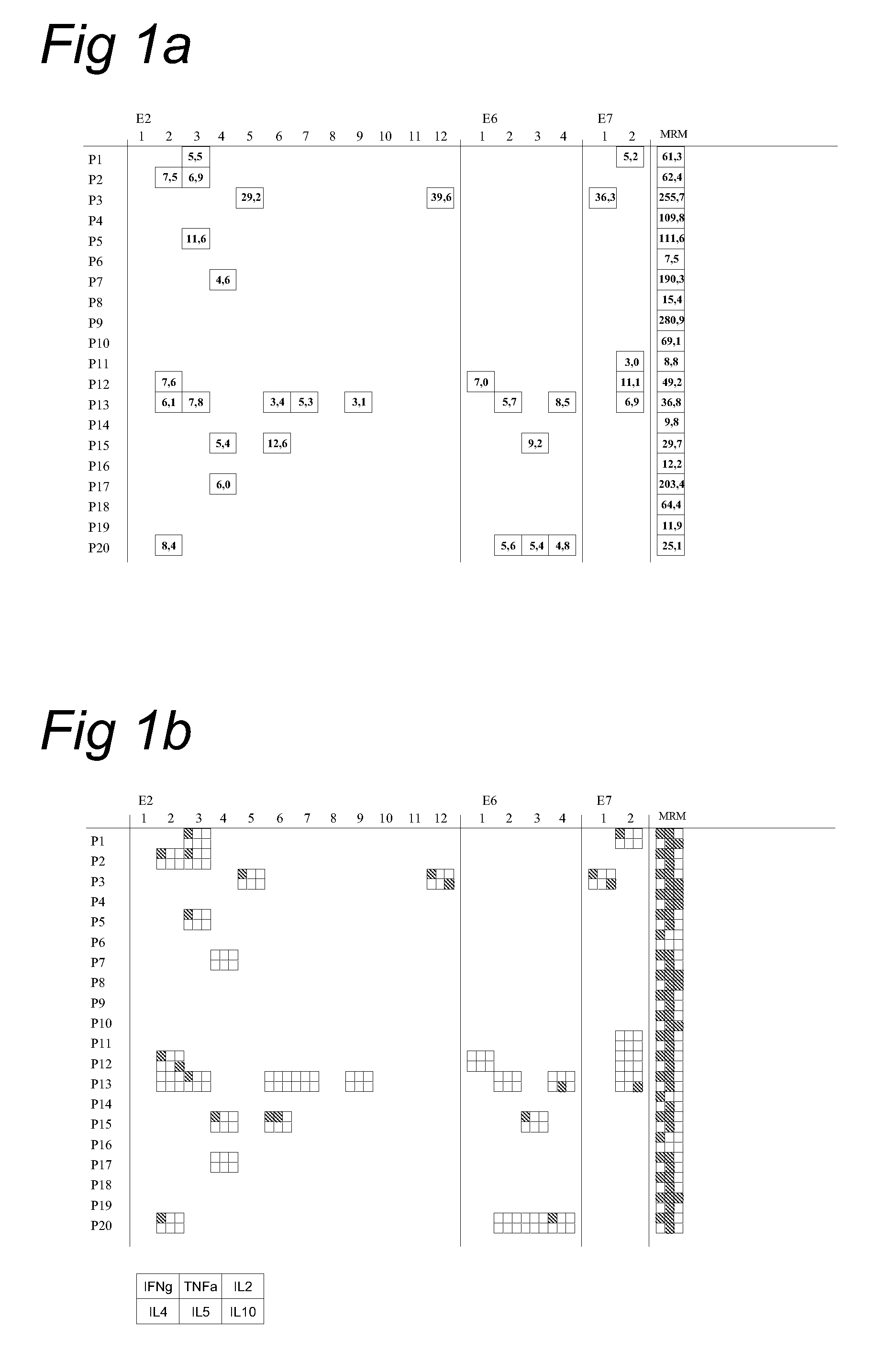 Methods and means for the treatment of HPV induced intraepithelial neoplasia