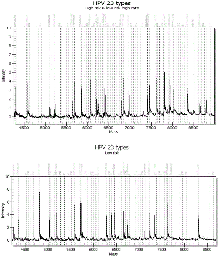 A broad-spectrum and flexible method for detecting human papillomavirus genotypes