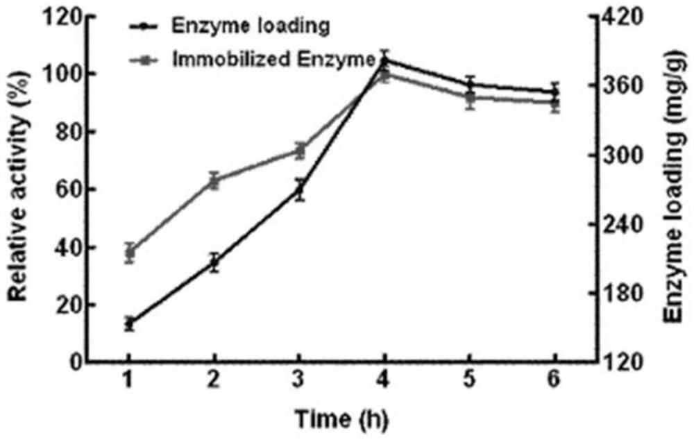 A kind of bifunctional ion chelating magnetic carrier and its application