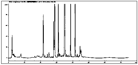 Method for detecting pharmaceutical preparation for treating xiaoke disease