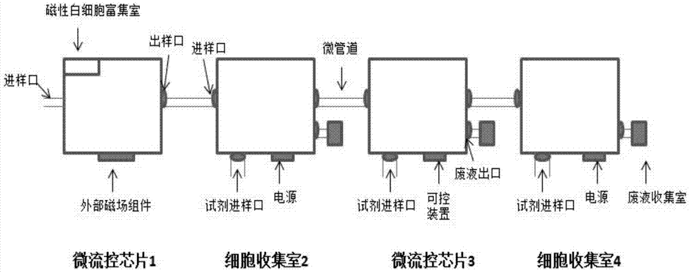 Microfluidic-technology-based CTC protein typing kit