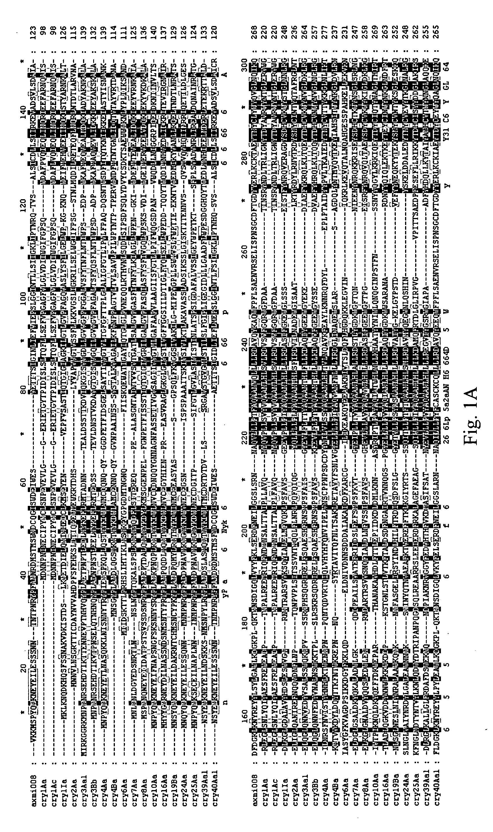 AXMI-008, a delta-endotoxin gene and methods for its use