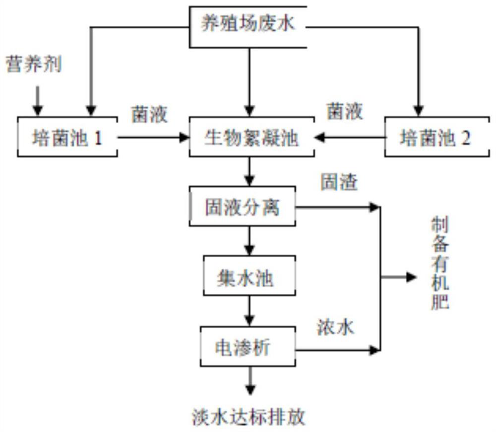 Method for treating livestock farm wastewater through biological flocculation-electrodialysis and application of method