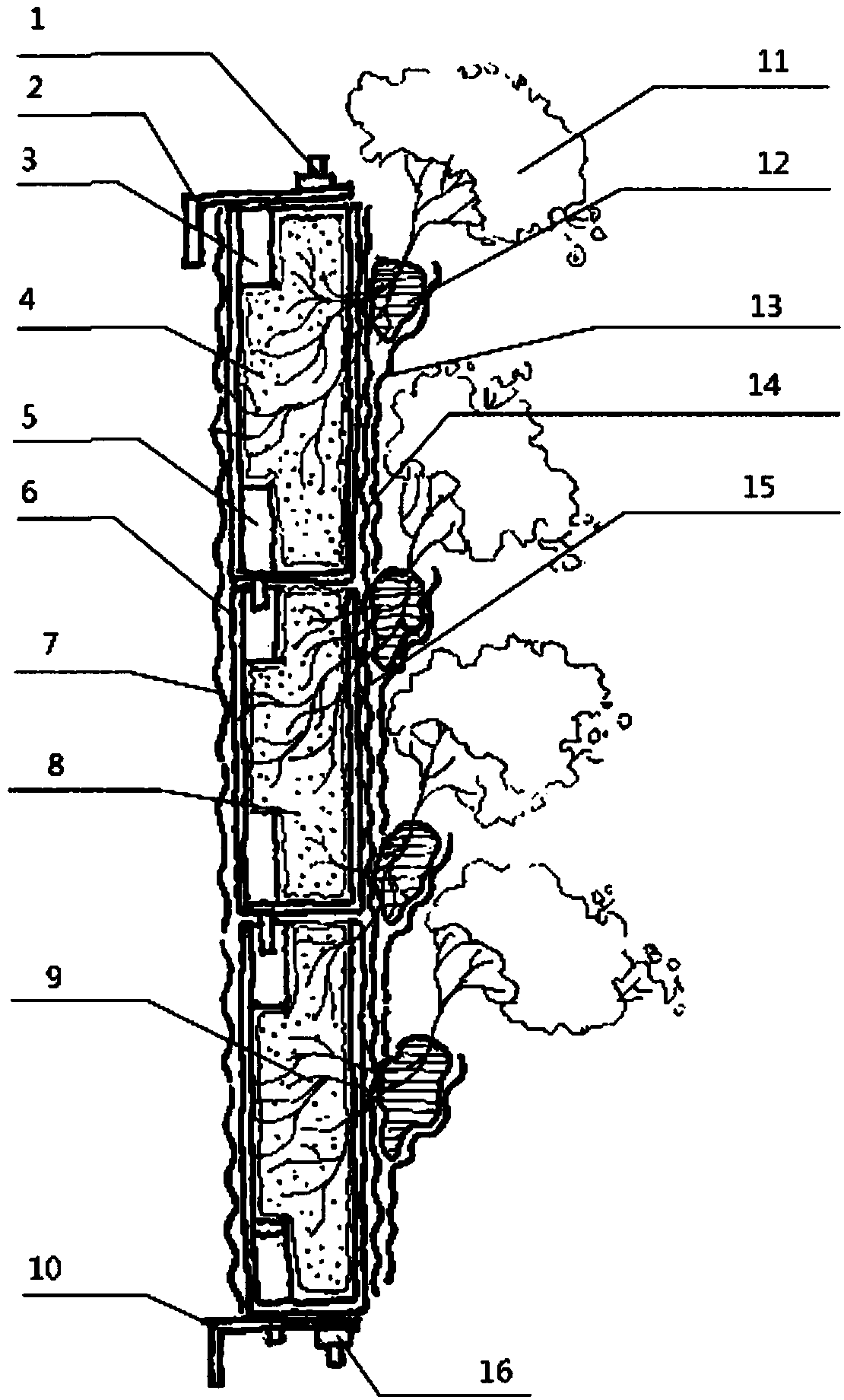 Plate-type plant ecological wall with water purification function