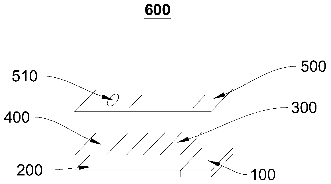 Test strip for detecting human ABO blood types, preparation method, detection method and application