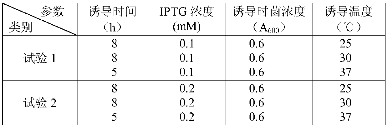 Verticillium dahliae endophyte and application thereof