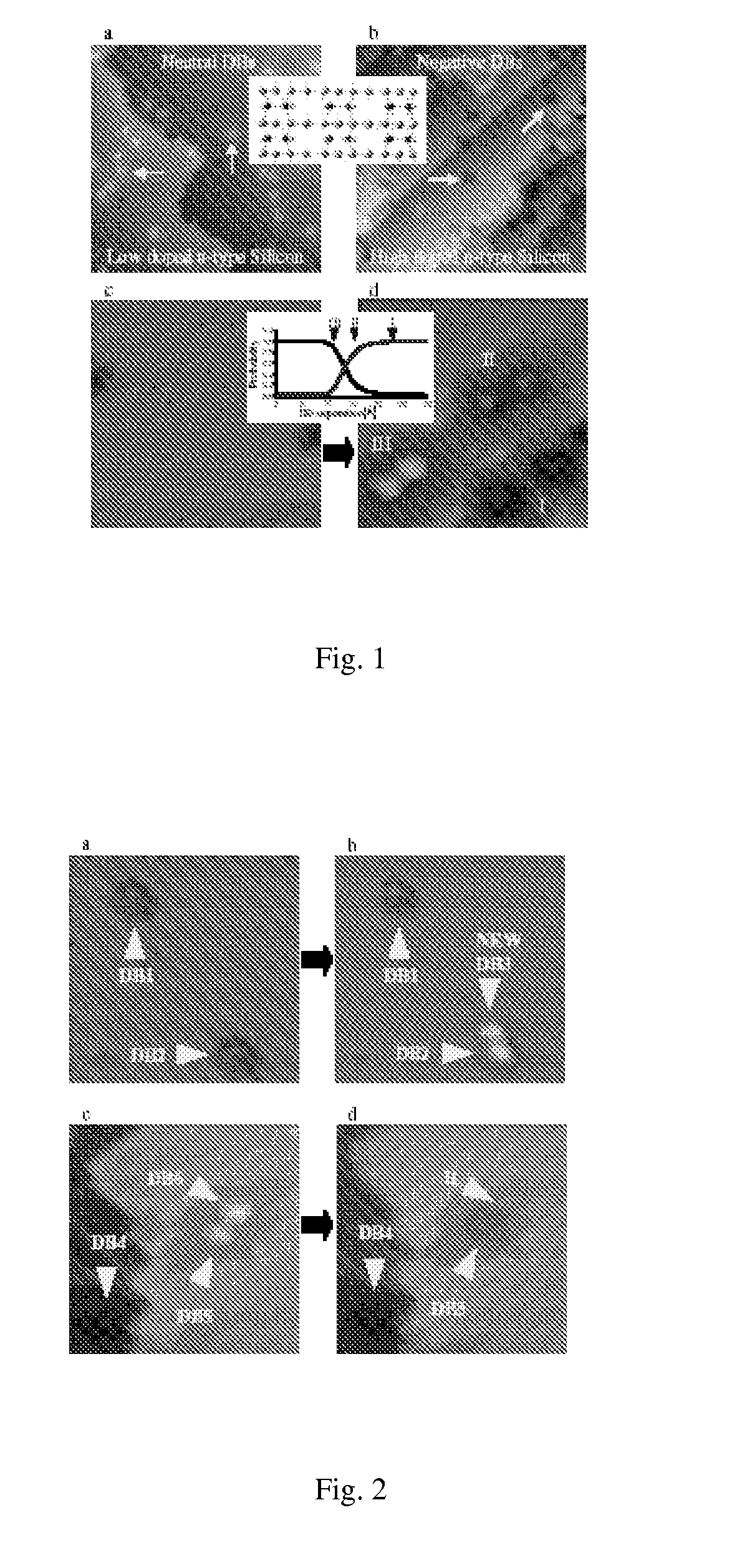 Atomistic quantum dot