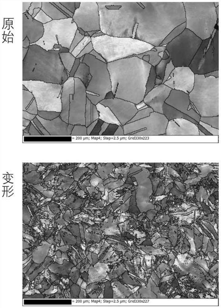 Plastic deformation method for grain refinement and twin crystal material preparation device