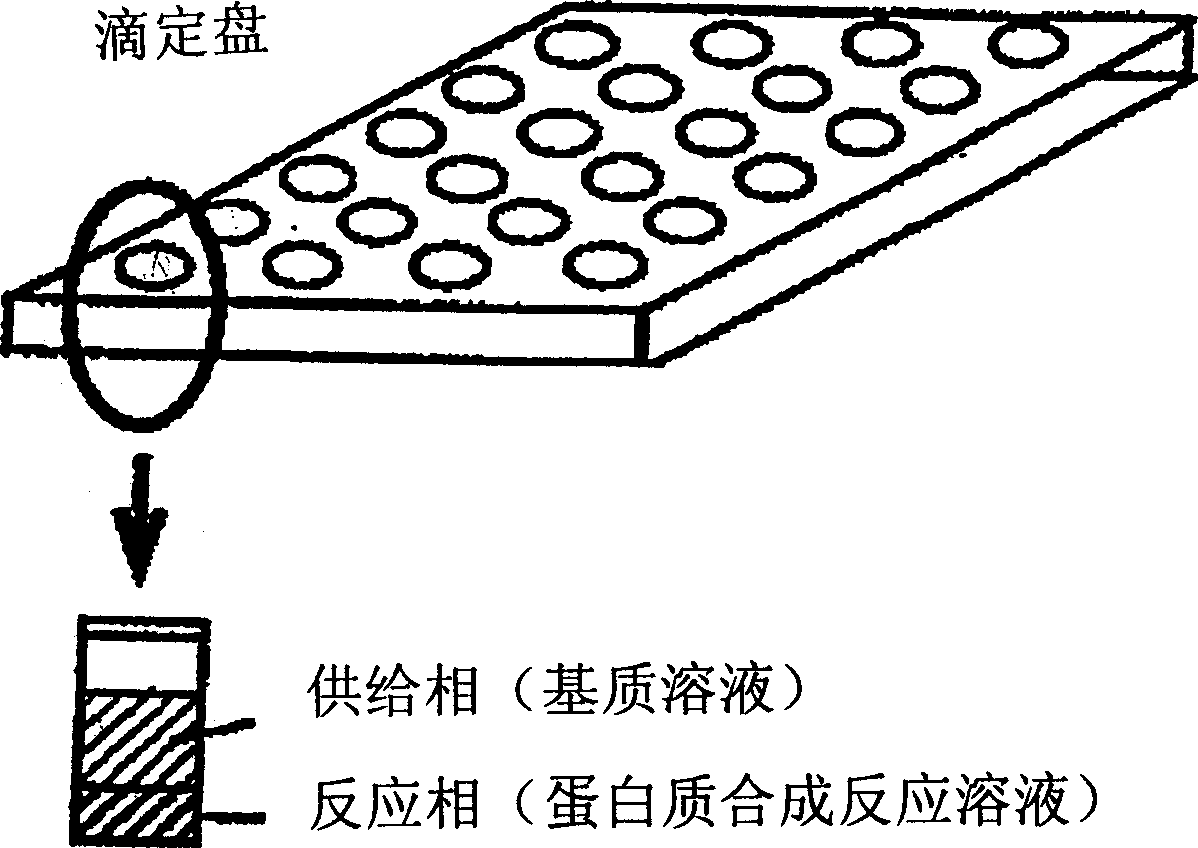 Methods of synthesizing cell-free protein