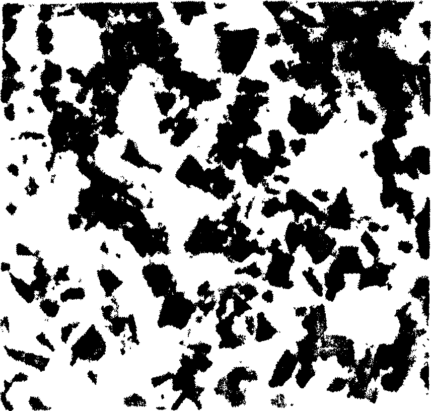 Vacuum mechanical dual-stirring casting method for preparing granule reinforced aluminium-base composite material