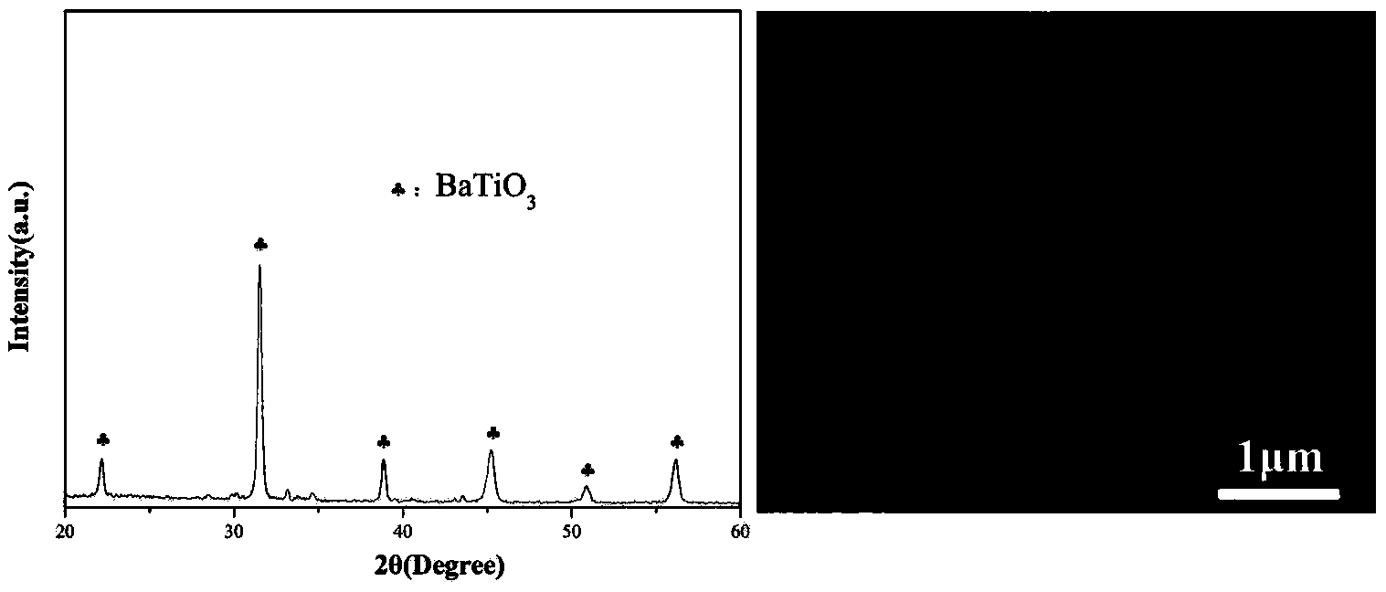 Method using ion exchange solvothermal method for preparation of titanate nano powder