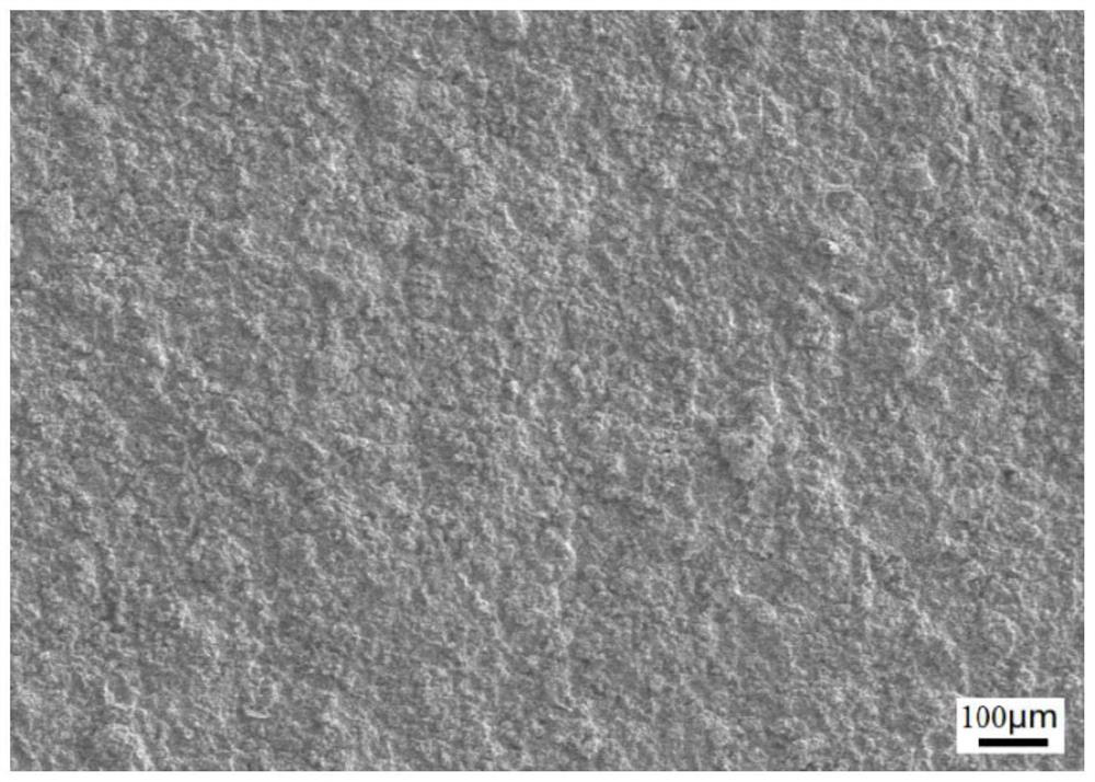 High-purity tantalum rotating target material and preparation method thereof