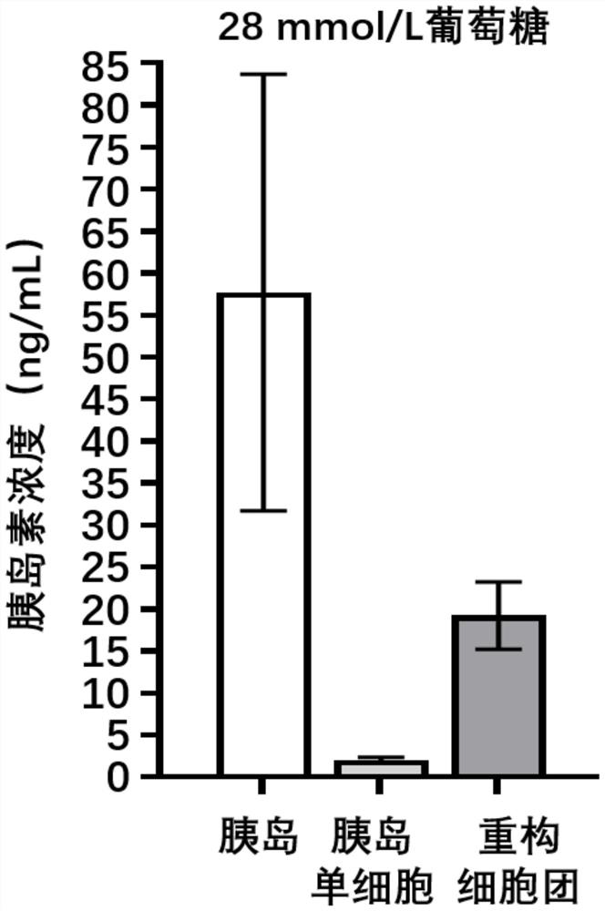 Cryopreservation method, recovery method and reconstruction method of islet cells