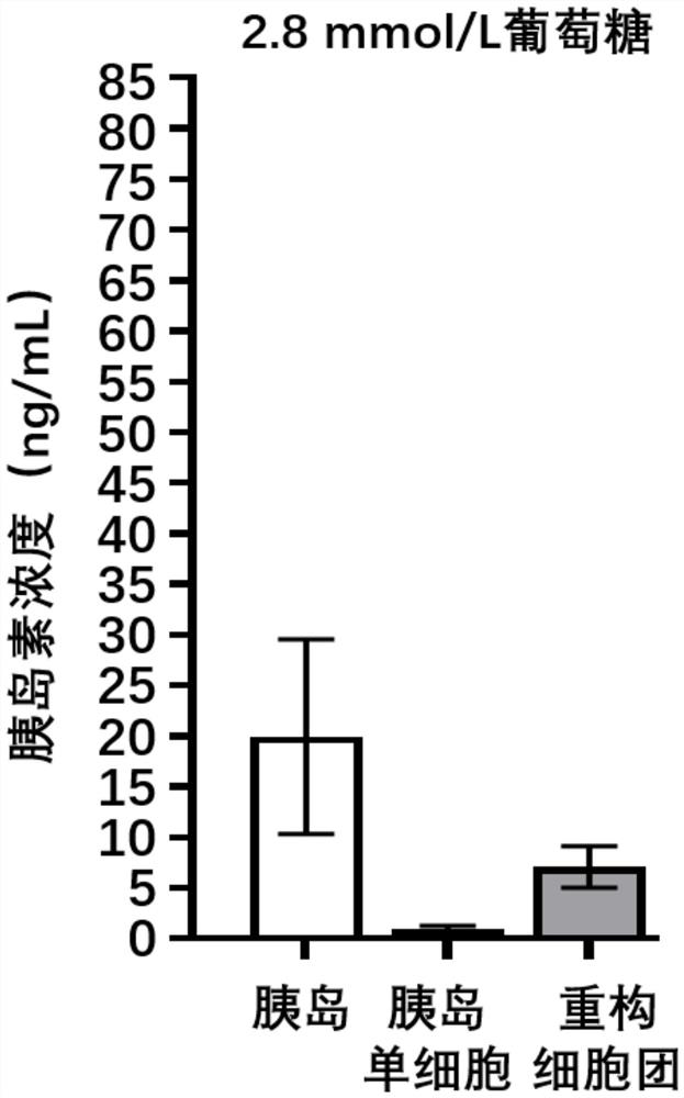 Cryopreservation method, recovery method and reconstruction method of islet cells