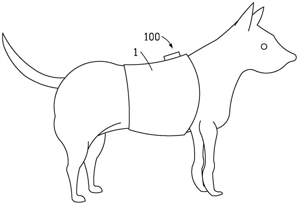 Pet wearable device and pet monitoring method