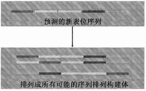 Sequence arrangements and sequences for neoepitope presentation