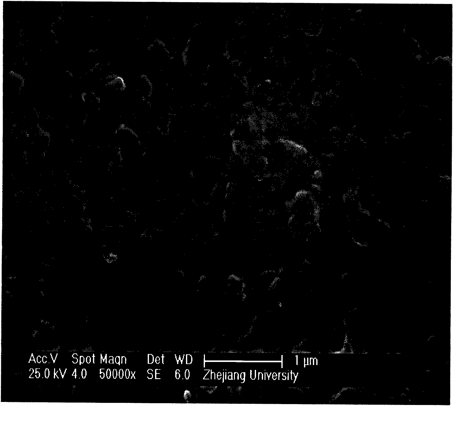 Preparation method of reverse osmosis composite membrane containing nano zeolite molecular sieves