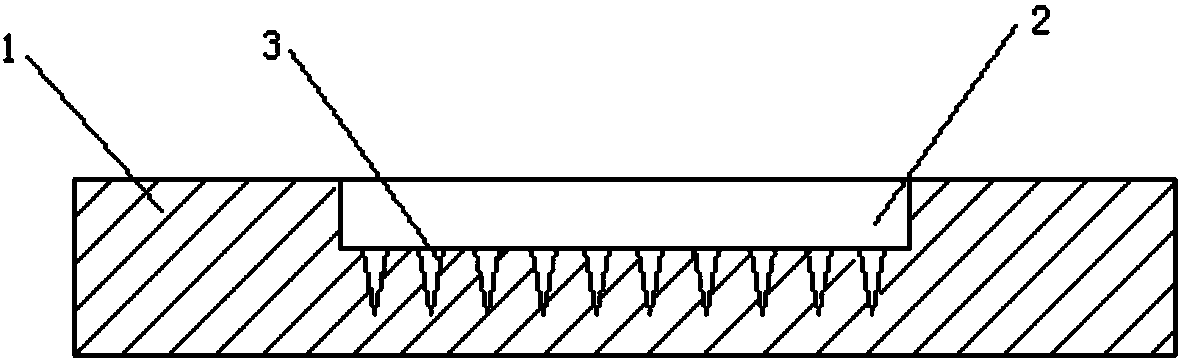 Pertussis vaccine micro needle array and preparation method thereof