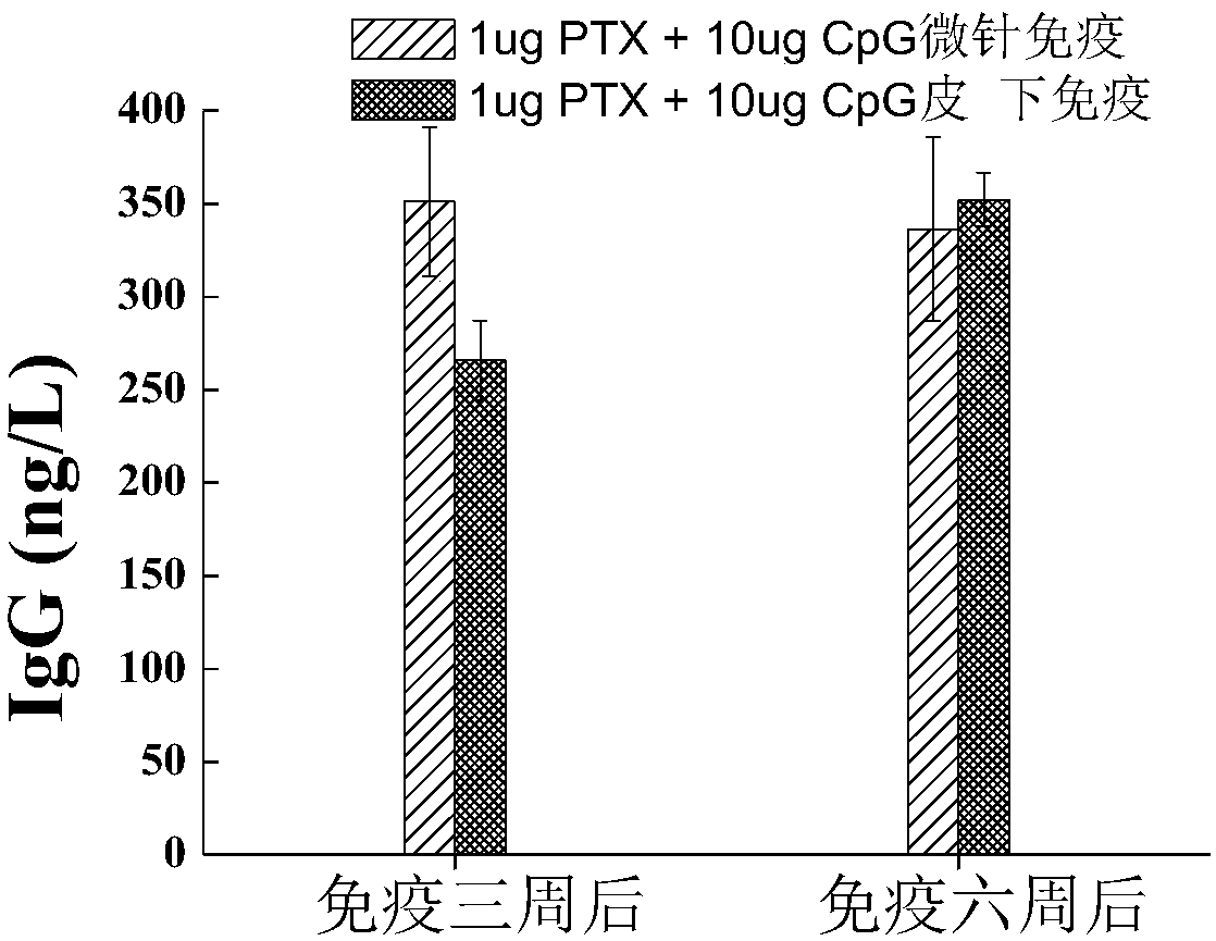 Pertussis vaccine micro needle array and preparation method thereof