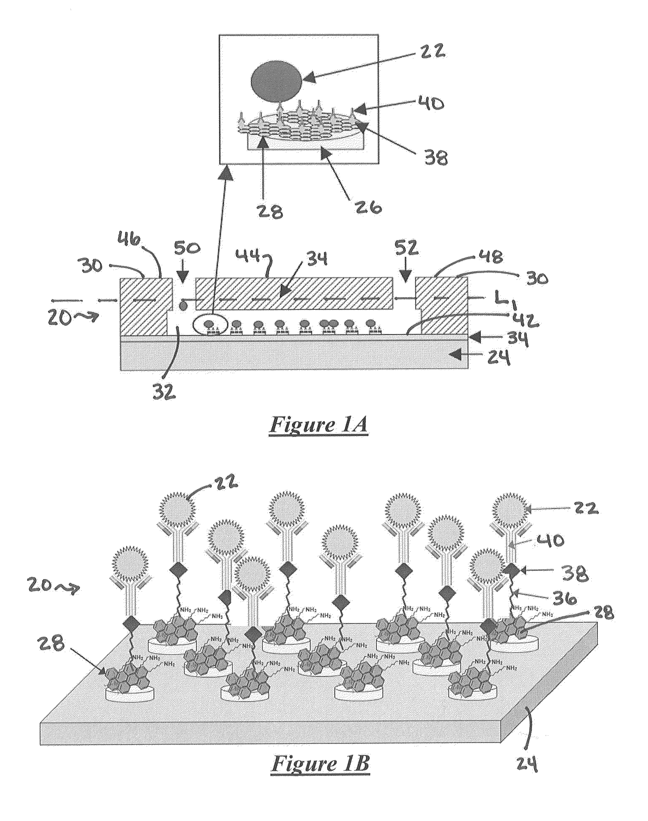 System for detecting rare cells