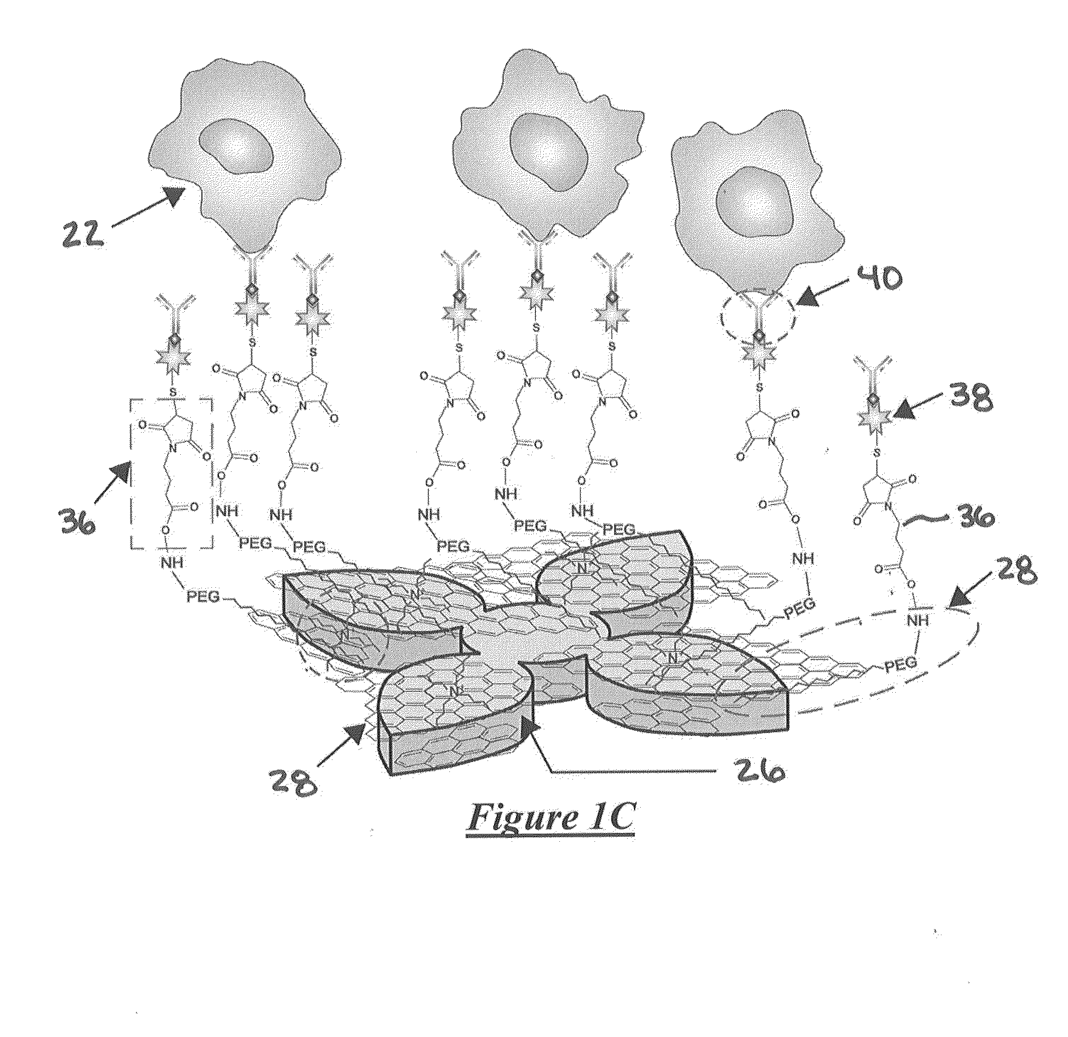 System for detecting rare cells