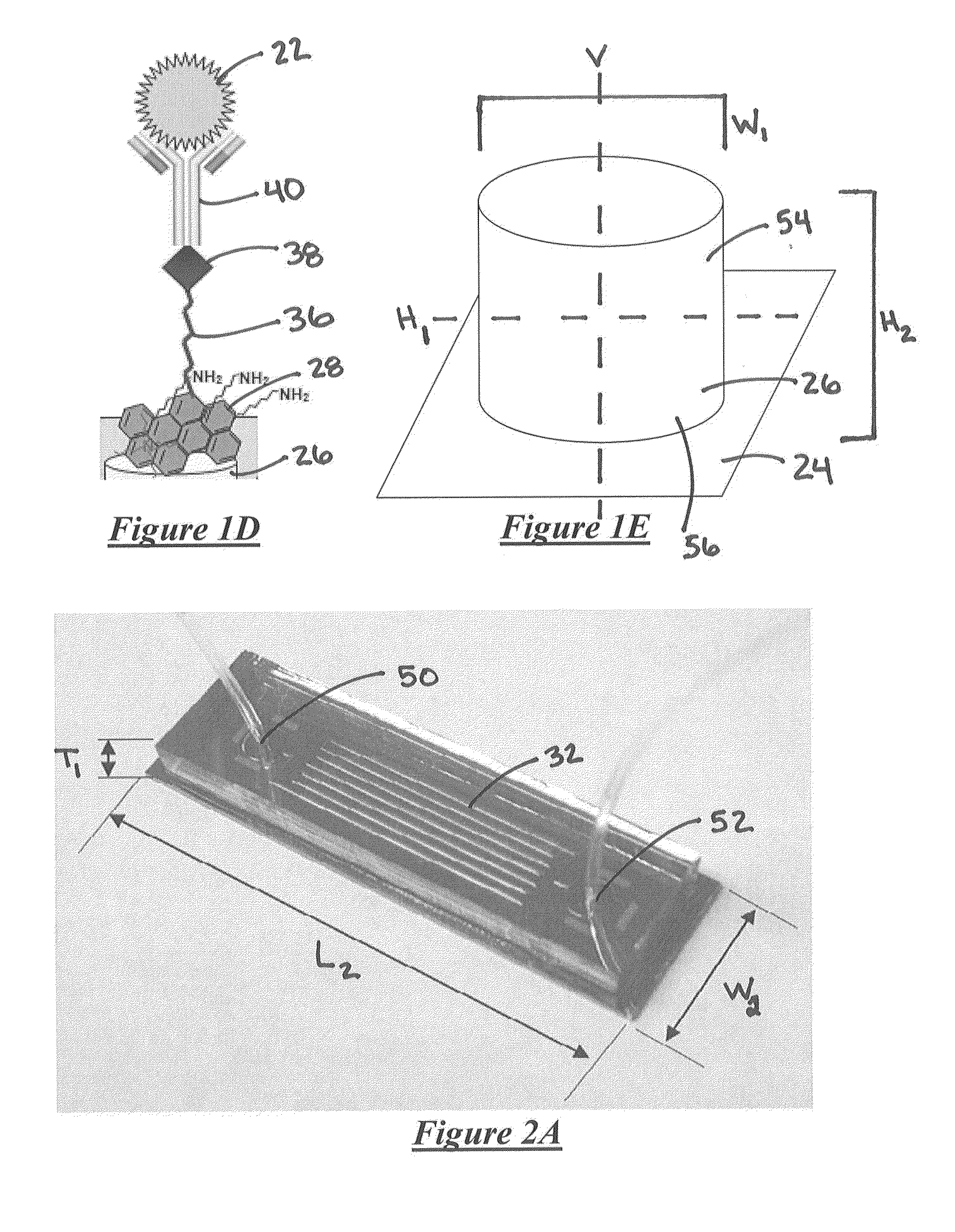 System for detecting rare cells