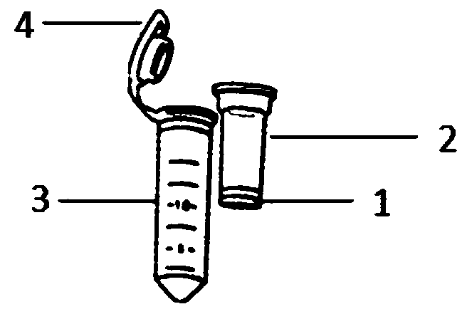 A method for detecting mmp-9 by using fluorescent zymogram imprinting technique