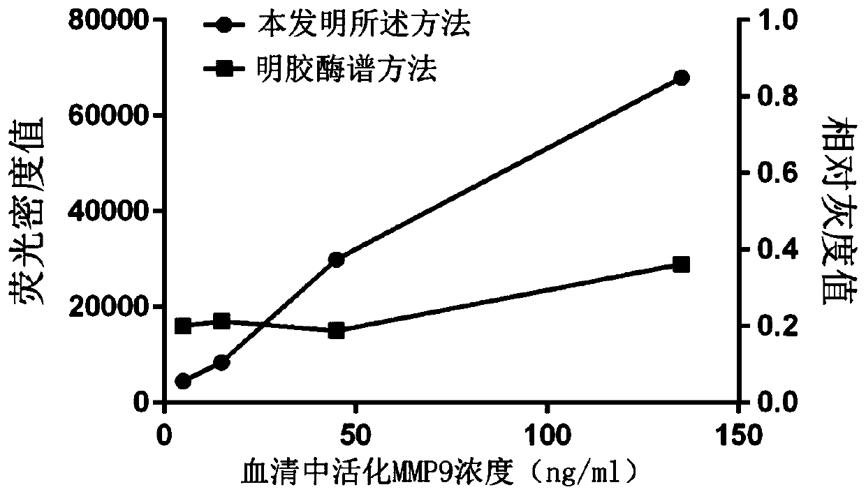 A method for detecting mmp-9 by using fluorescent zymogram imprinting technique