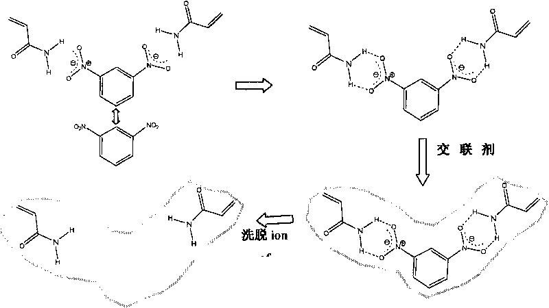 Molecularly imprinted polymer/carbon nano-tube/basal electrode modified electrode and application thereof