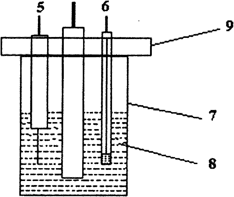 Molecularly imprinted polymer/carbon nano-tube/basal electrode modified electrode and application thereof