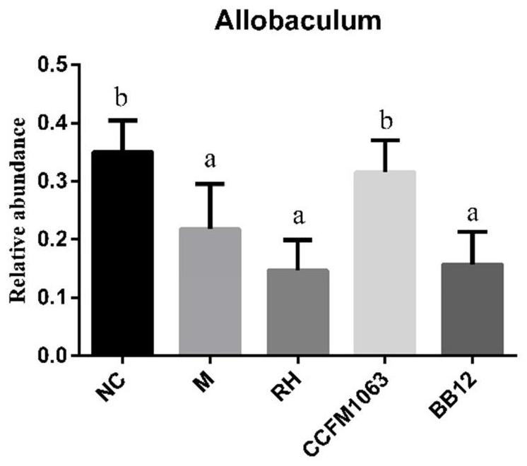 Bifidobacterium bifidum ccfm1063 and its application