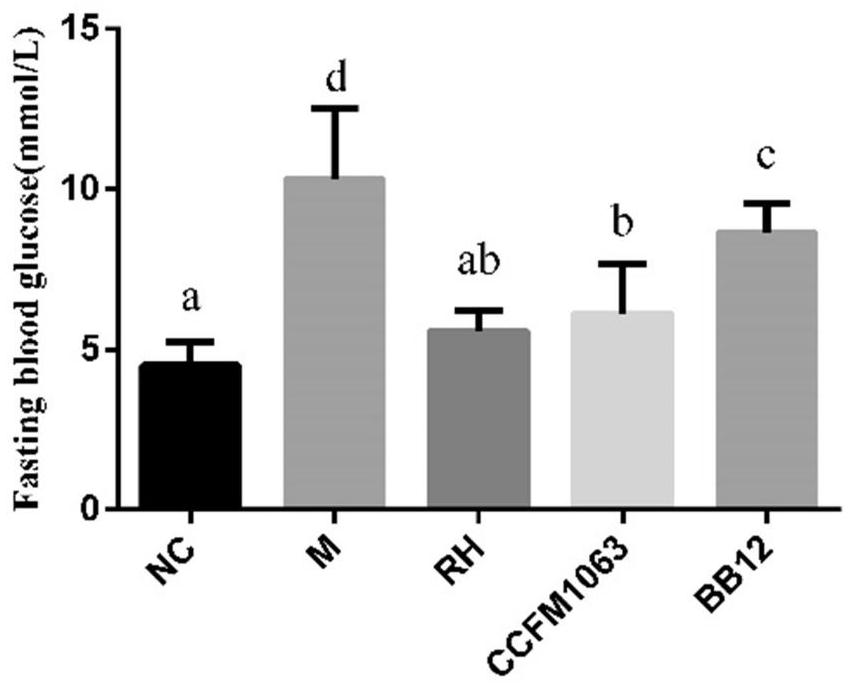 Bifidobacterium bifidum ccfm1063 and its application