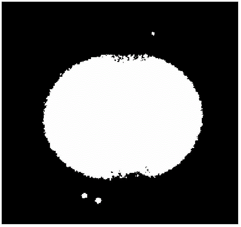 Selected area electron diffraction spectrum and image processing method for determining preferred orientation degree of pyrolytic carbon