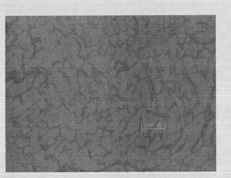 Scaffolds of umbilical cord decellularized Wharton jelly for tissue engineering and preparation method thereof