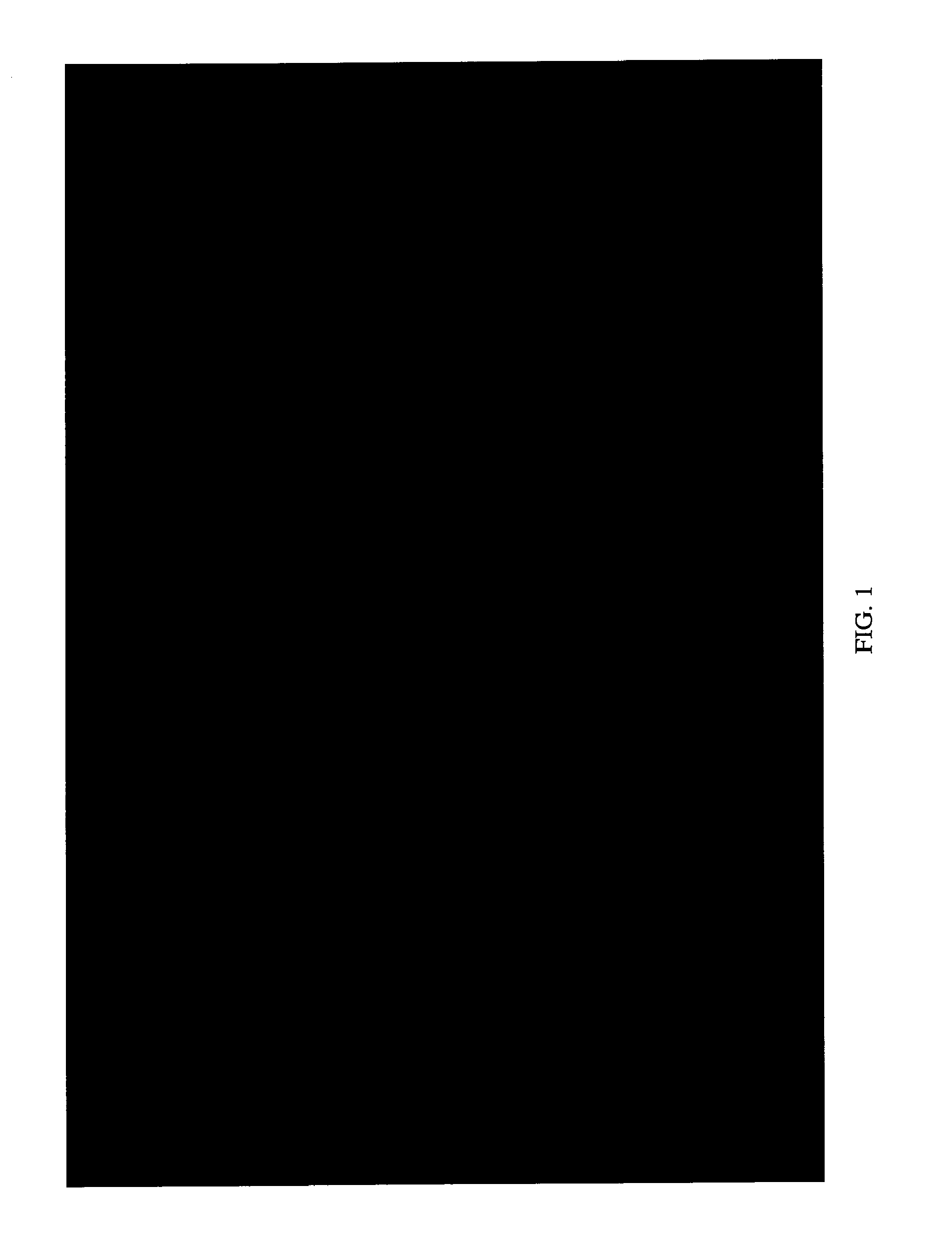 High potency recombinant antibodies, methods for producing them and use in cancer therapy