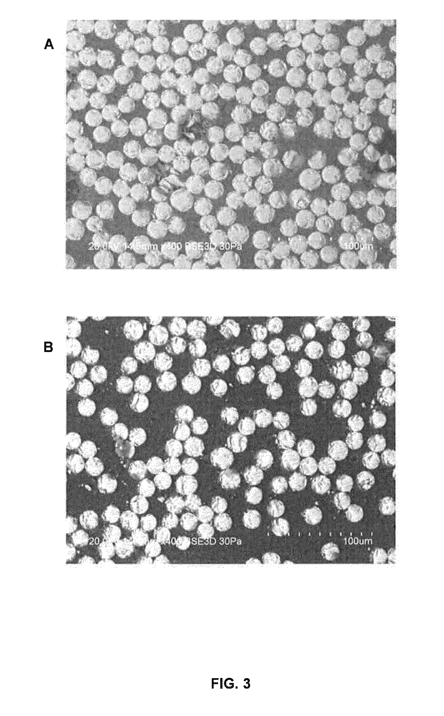 Dual cure composite resins containing uretdione and usaturated sites