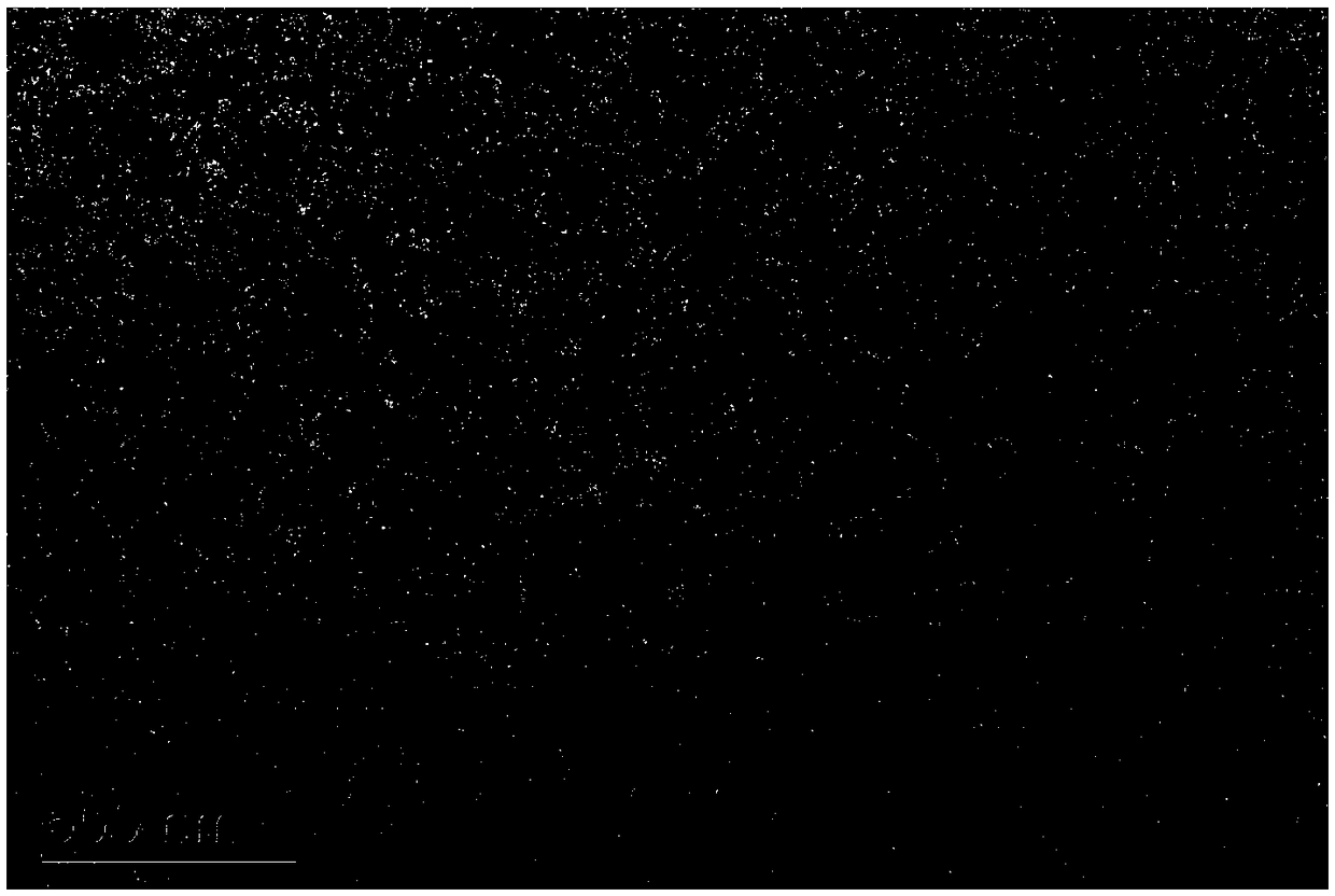 Preparation method of bionic phospholipid membrane with controllable shape