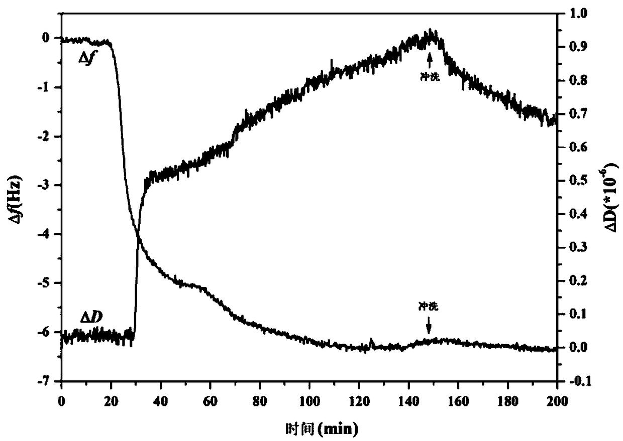 Preparation method of bionic phospholipid membrane with controllable shape