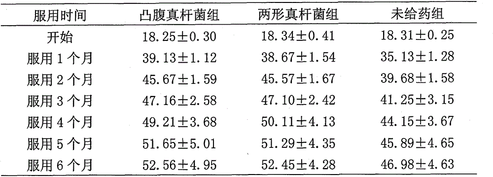 Eubacterium biforme preparation and use thereof