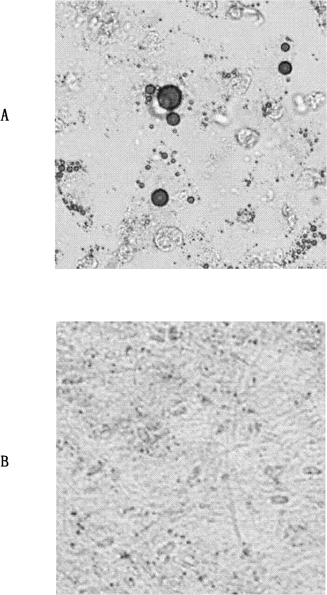 Separating method and application of fat stem cells