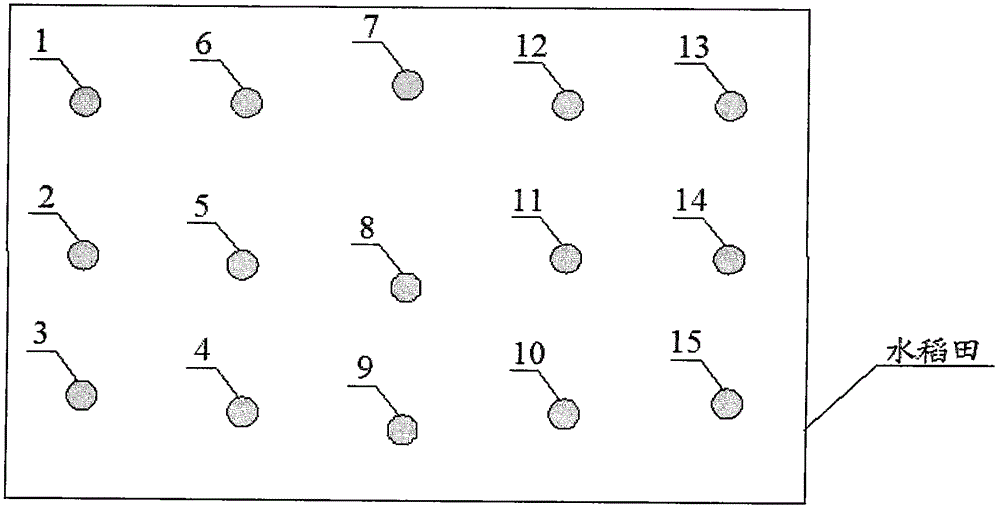 Method for establishing rice blade NDVI fitting model for representing rice growing states