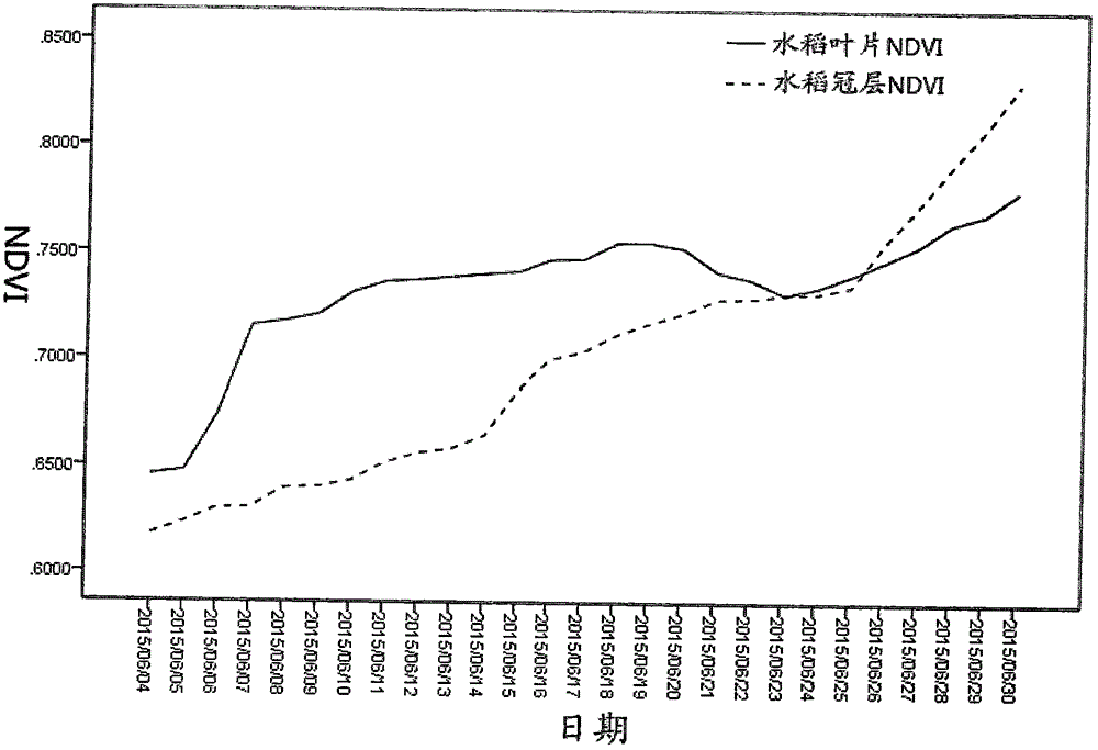 Method for establishing rice blade NDVI fitting model for representing rice growing states