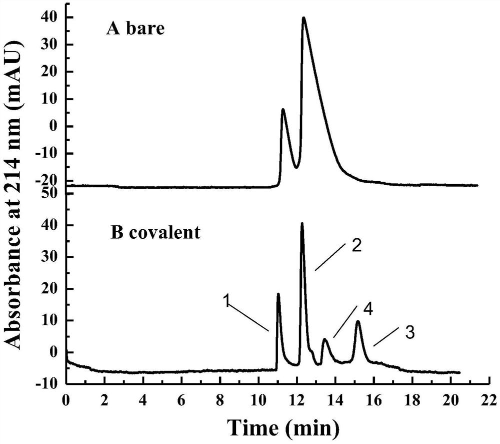 A kind of anti-protein adsorption capillary column and preparation method thereof