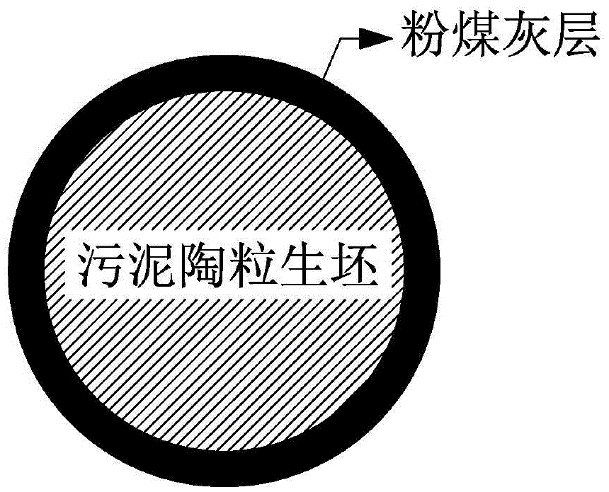 Fly ash coated sludge ceramsite and preparation method therefor