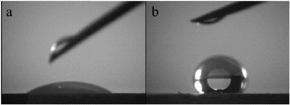 Hydrophobic modified fluorescent powder, and preparation method and application thereof