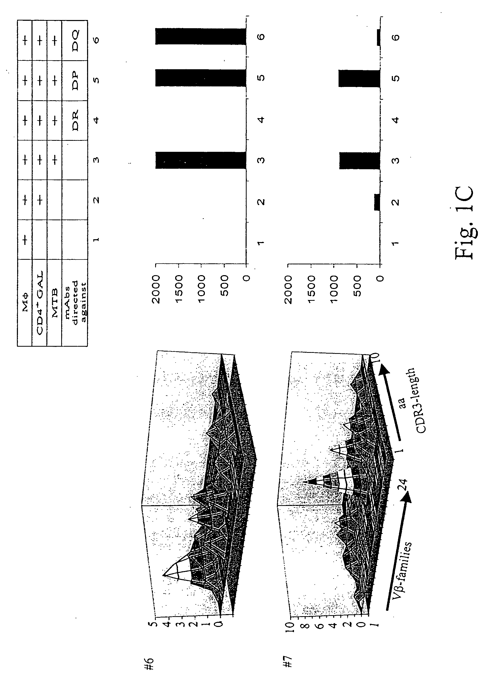 Mycobacterium tuberculosis epitopes and methods of use thereof