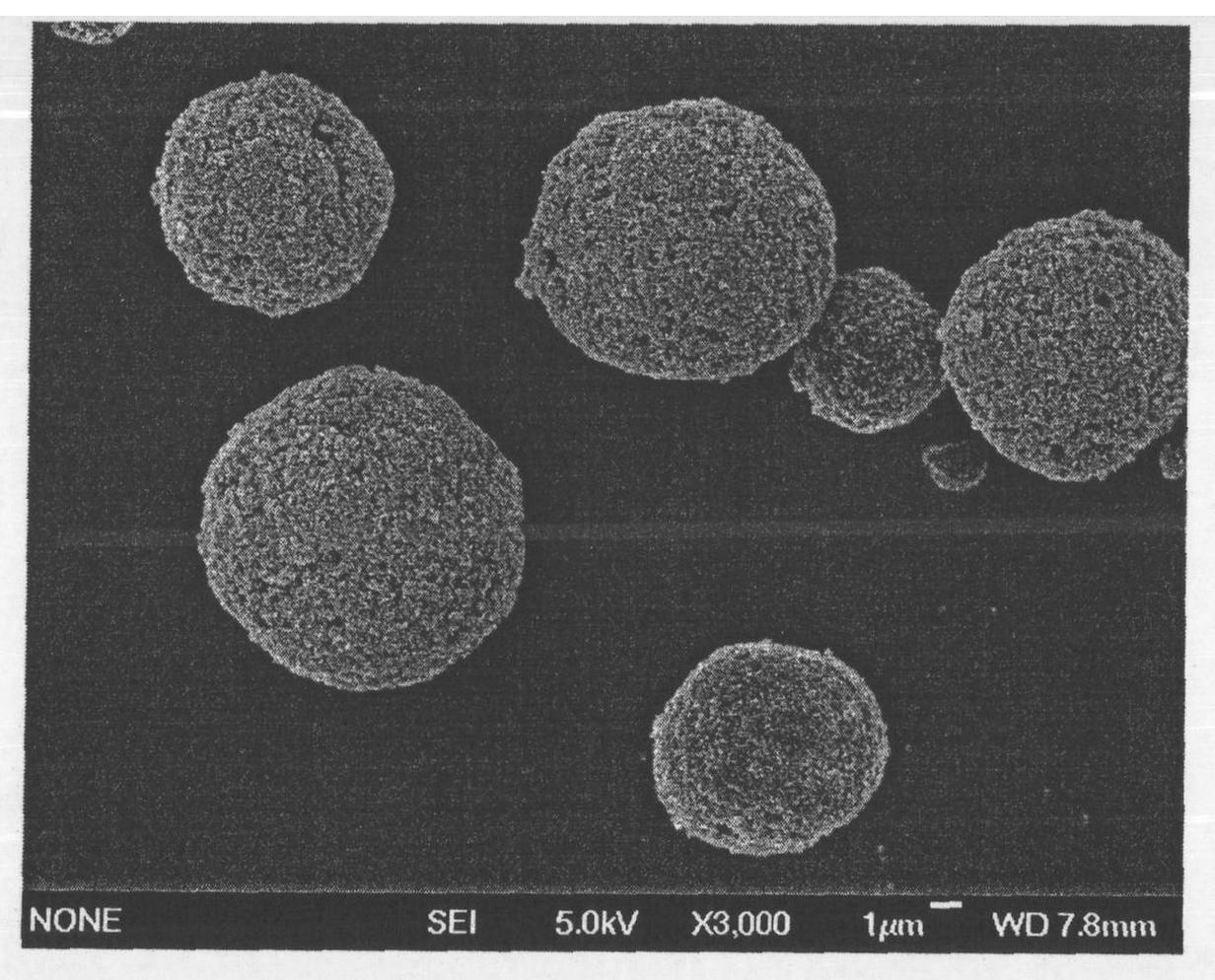 Method for preparing rare earth doped yttrium aluminum garnet transparent ceramics by utilizing spray granulation modified powder