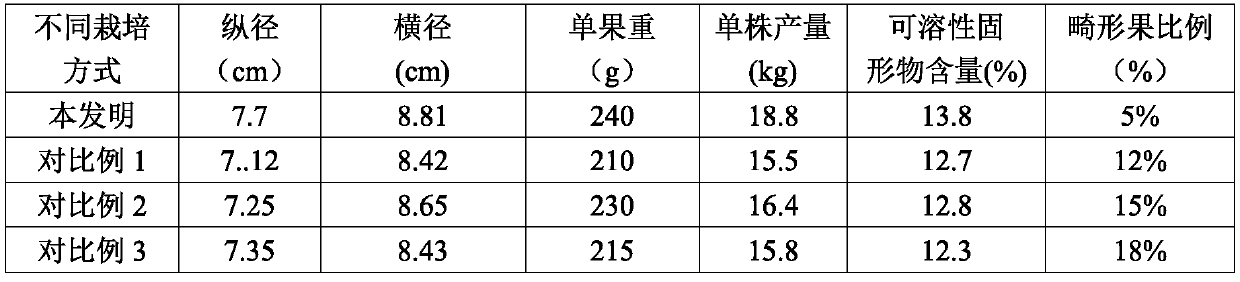 Pear tree cultivating, managing and shaping method